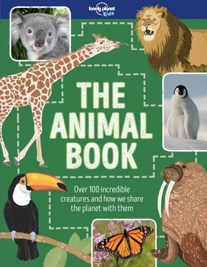 THE ANIMAL BOOK 1 | 9781786574336