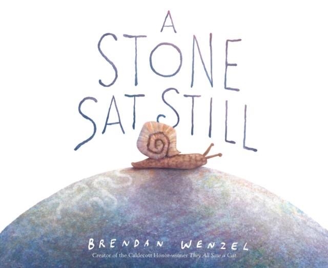 A STONE SAT STILL | 9781797215716 | BRENDAN WENZEL