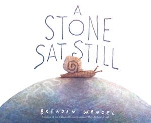 A STONE SAT STILL | 9781797215716 | BRENDAN WENZEL
