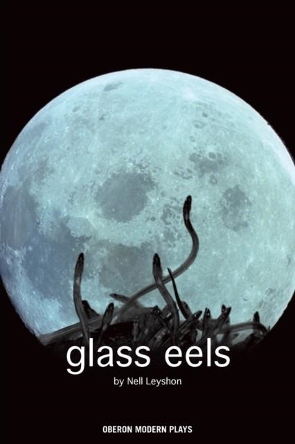 GLASS EELS | 9781840027532 | NELL LEYSHON