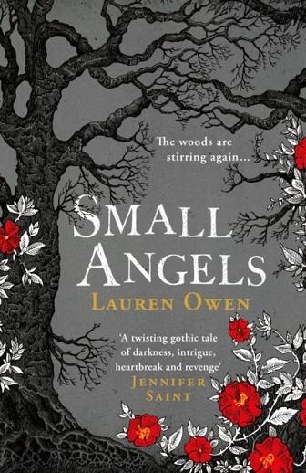 SMALL ANGELS | 9781472280824 | LAUREN OWEN