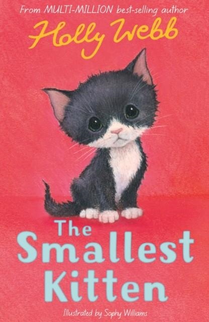THE SMALLEST KITTEN | 9781788953894 | HOLLY WEBB