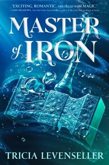 MASTER OF IRON | 9781250756824 | LEVENSELLER, TRICIA