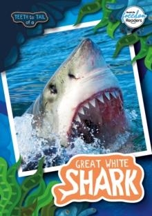 TEETH TO TAIL OF A GREAT WHITE SHARK | 9781801551304 | ROBIN TWIDDY