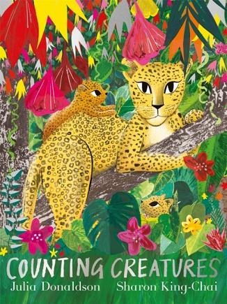 COUNTING CREATURES | 9781529048155 | JULIA DONALDSON