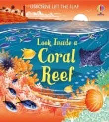 LOOK INSIDE A CORAL REEF | 9781474998918 | MINNA LACEY