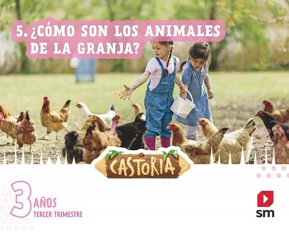 3 AÑOS CASTORIA 3T | 9788411201490