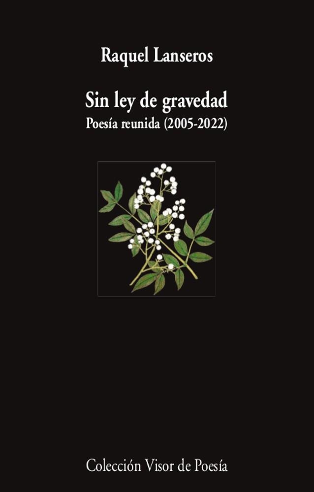 SIN LEY DE GRAVEDAD | 9788498954654 | RAQUEL LANSEROS