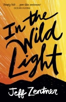 IN THE WILD LIGHT | 9781839130847 | JEFF ZENTNER