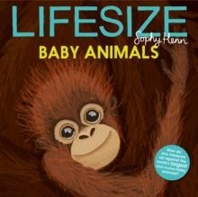 LIFESIZE BABY ANIMALS | 9781405299497 | SOPHY HENN