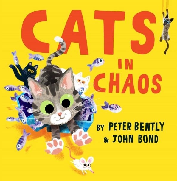 CATS IN CHAOS | 9780008469184 | PETER BENTLY