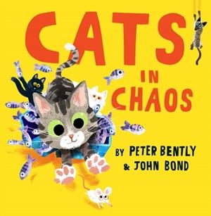 CATS IN CHAOS | 9780008469184 | PETER BENTLY