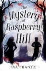 THE MYSTERY OF RASPBERRY HILL | 9781782693413 | EVA FRANTZ