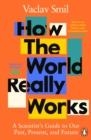 HOW THE WORLD REALLY WORKS | 9780241989678 | VACLAV SMIL