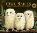OWL BABIES | 9781406374377