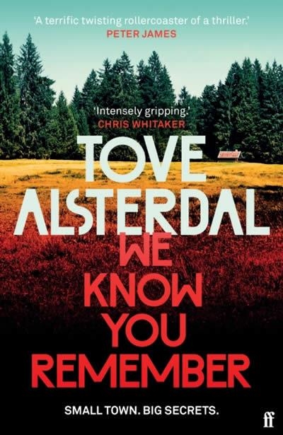 WE KNOW YOU REMEMBER | 9780571368938 | TOVE ALSTERDAL
