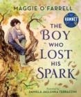 THE BOY WHO LOST HIS SPARK | 9781406392012 | MAGGIE O'FARRELL
