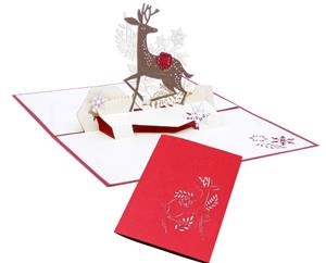 RENO | 8436560041917