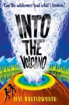INTO THE VOLCANO | 9781510108516