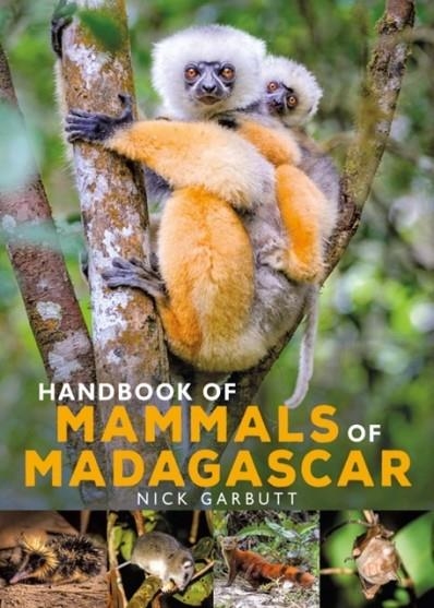 HANDBOOK OF MAMMALS OF MADAGASCAR | 9781472985934 | GARBUTT, NICK
