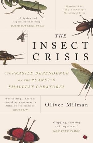 THE INSECT CRISIS | 9781838951191 | OLIVER MILMAN