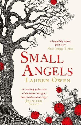 SMALL ANGELS | 9781472280817 | LAUREN OWEN