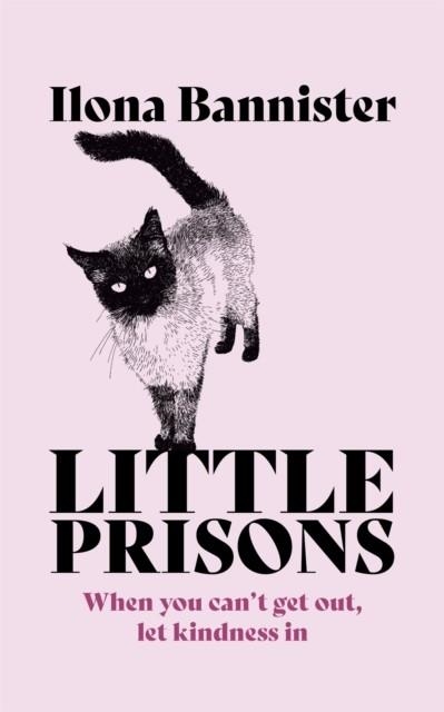LITTLE PRISONS | 9781529353921 | ILONA BANNISTER