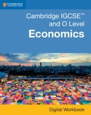 CAMBRIDGE IGCSE™ AND O LEVEL ECONOMICS *DIGITAL* WORKBOOK (2 YEARS) | 9781108984362