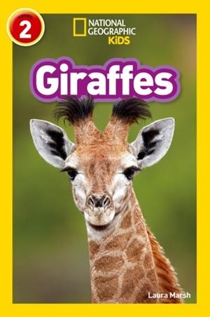 GIRAFFES -NGKR LEVEL 2 | 9780008266639