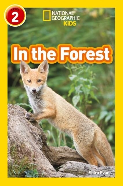 IN THE FOREST -NGKR LEVEL 2 | 9780008317201