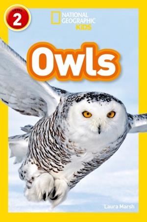 OWLS -NGKR LEVEL 2 | 9780008266615