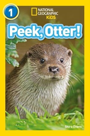 PEEK, OTTER! -NGKR LEVEL 1 | 9780008266547
