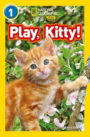 PLAY, KITTY! -NGKR LEVEL 1 | 9780008266516