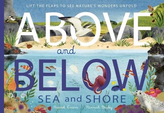 ABOVE AND BELOW: SEA AND SHORE | 9781838915056 | HARRIET EVANS