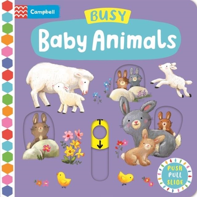 BUSY BABY ANIMALS | 9781035004706 | AG JATKOWSKA