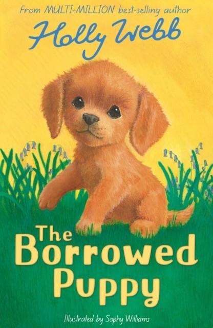 THE BORROWED PUPPY | 9781788955645 | HOLLY WEBB