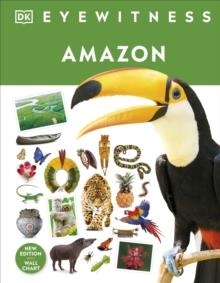 AMAZON | 9780241569849 | DK