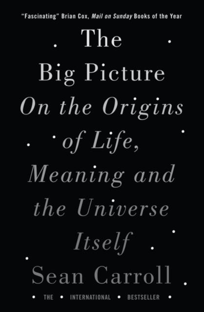 THE BIG PICTURE : ON THE ORIGINS OF LIFE, MEANING, AND THE UNIVERSE ITSELF | 9781786071033 | SEAN CARROLL 