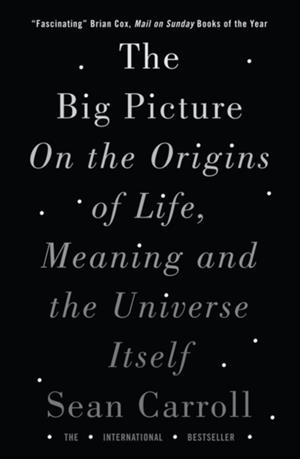 THE BIG PICTURE : ON THE ORIGINS OF LIFE, MEANING, AND THE UNIVERSE ITSELF | 9781786071033 | SEAN CARROLL