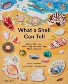 WHAT A SHELL CAN TELL | 9781838664305 | HELEN SCALES