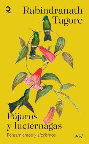 PÁJAROS Y LUCIÉRNAGAS | 9788434436091