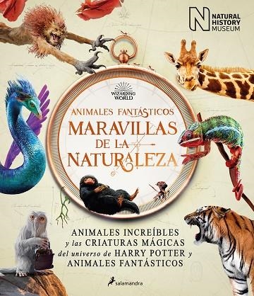 ANIMALES FANTÁSTICOS: MARAVILLAS DE LA NATURALEZA | 9788418637056 | THE NATIONAL HISTORY MUSEUM
