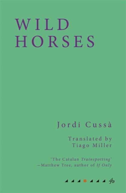 WILD HORSES | 9781913744052 | JORDI CUSSA