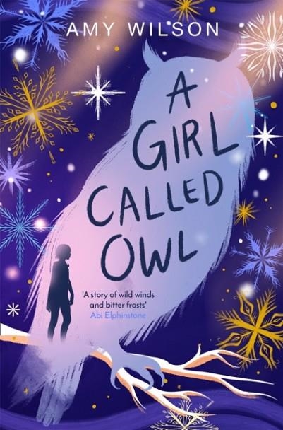 A GIRL CALLED OWL | 9781529057751 | AMY WILSON