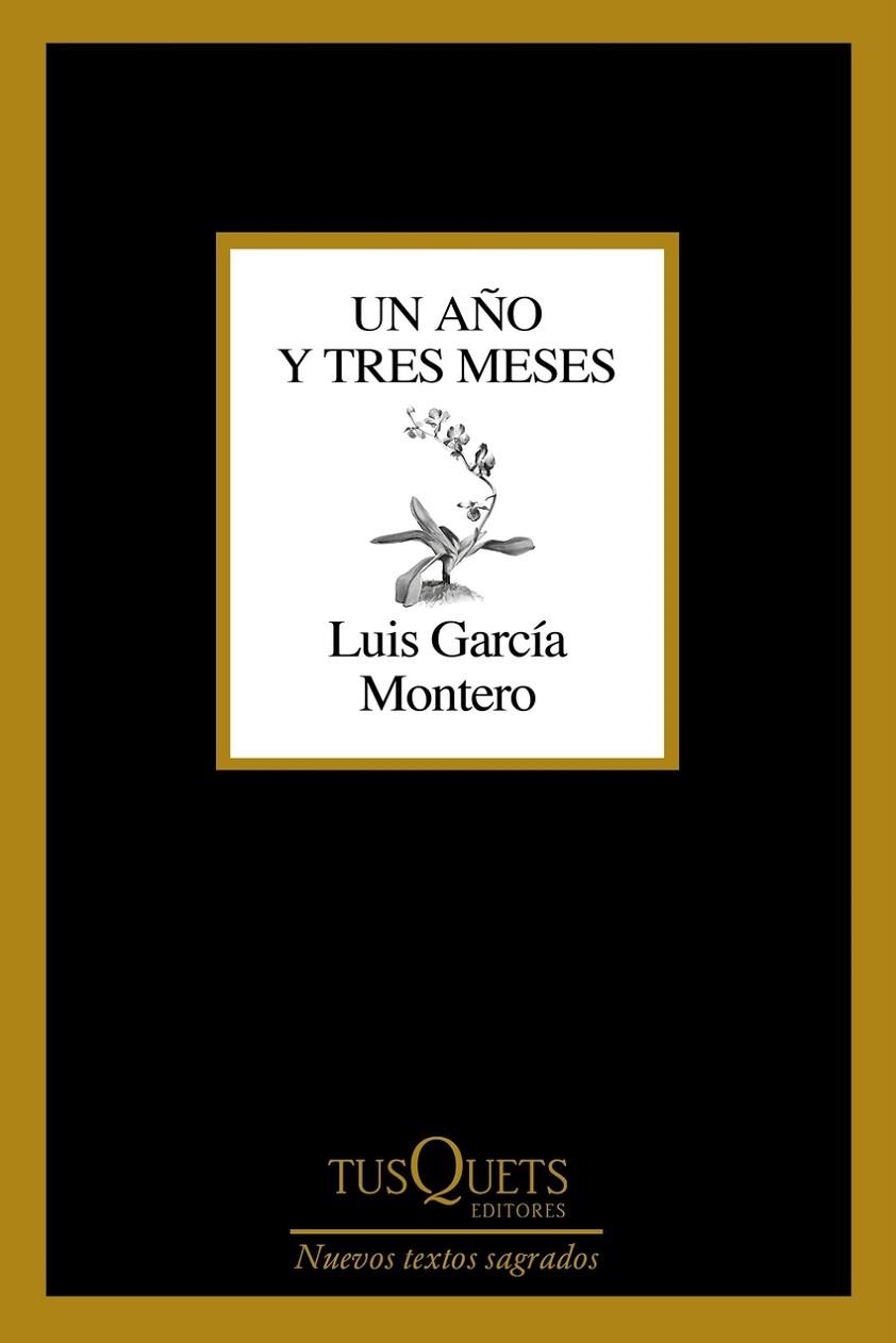 UN AÑO Y TRES MESES | 9788411071475