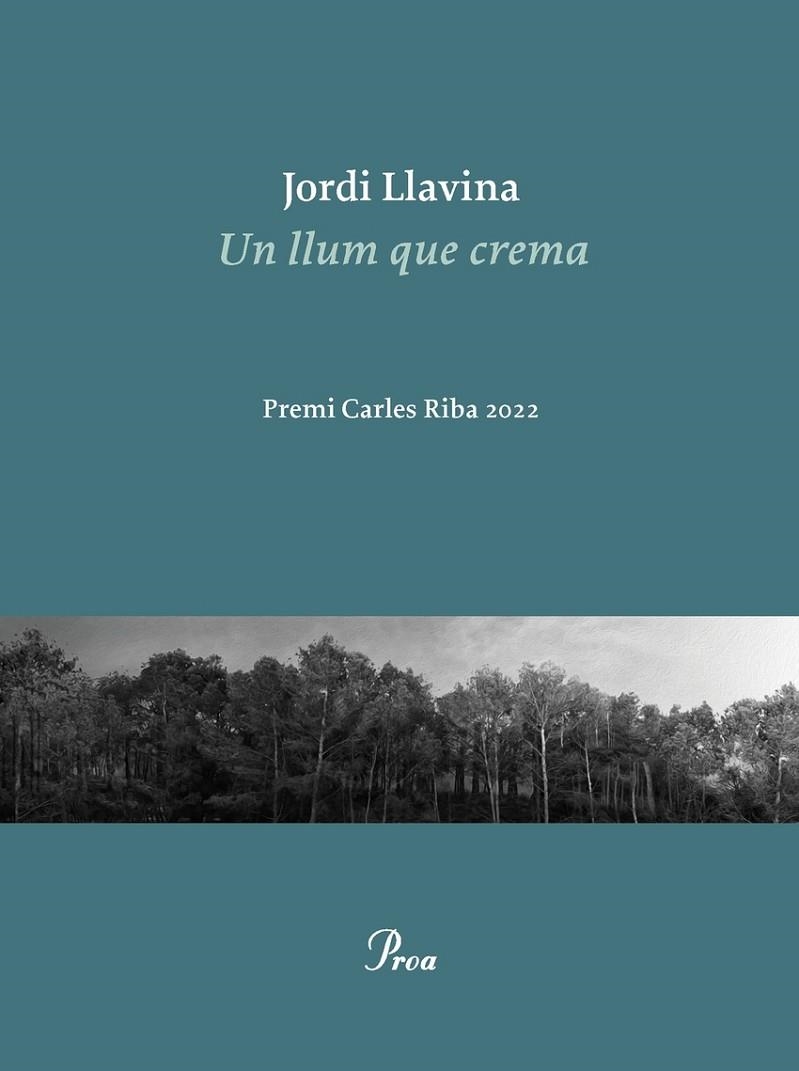 UN LLUM QUE CREMA - PREMI CARLES RIBA 2022 | 9788475889979 | JORDI LLAVINA