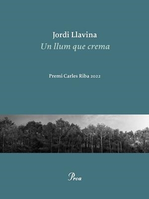 UN LLUM QUE CREMA - PREMI CARLES RIBA 2022 | 9788475889979 | JORDI LLAVINA