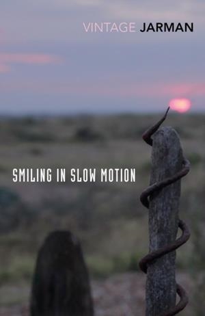SMILING IN SLOW MOTION : JOURNALS, 1991-1994 | 9781784875169 | DEREK JARMAN