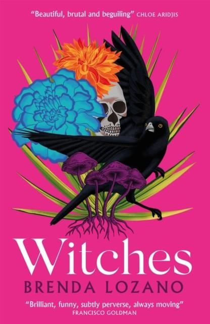 WITCHES | 9781529412239 | BRENDA LOZANO