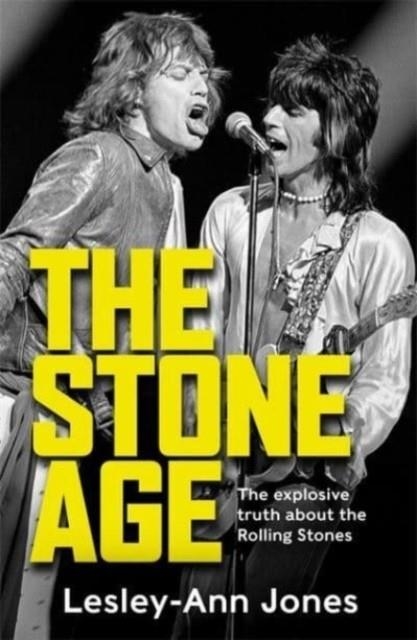 THE STONE AGE | 9781789465532 | LESLEY ANN JONES